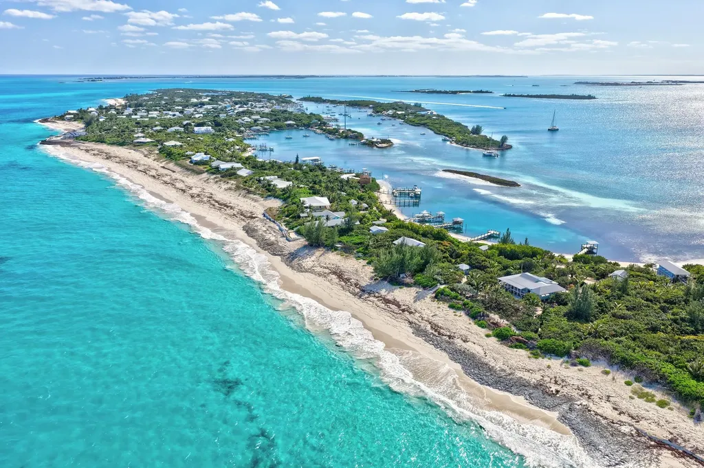 Berry Patch Abaco BS
