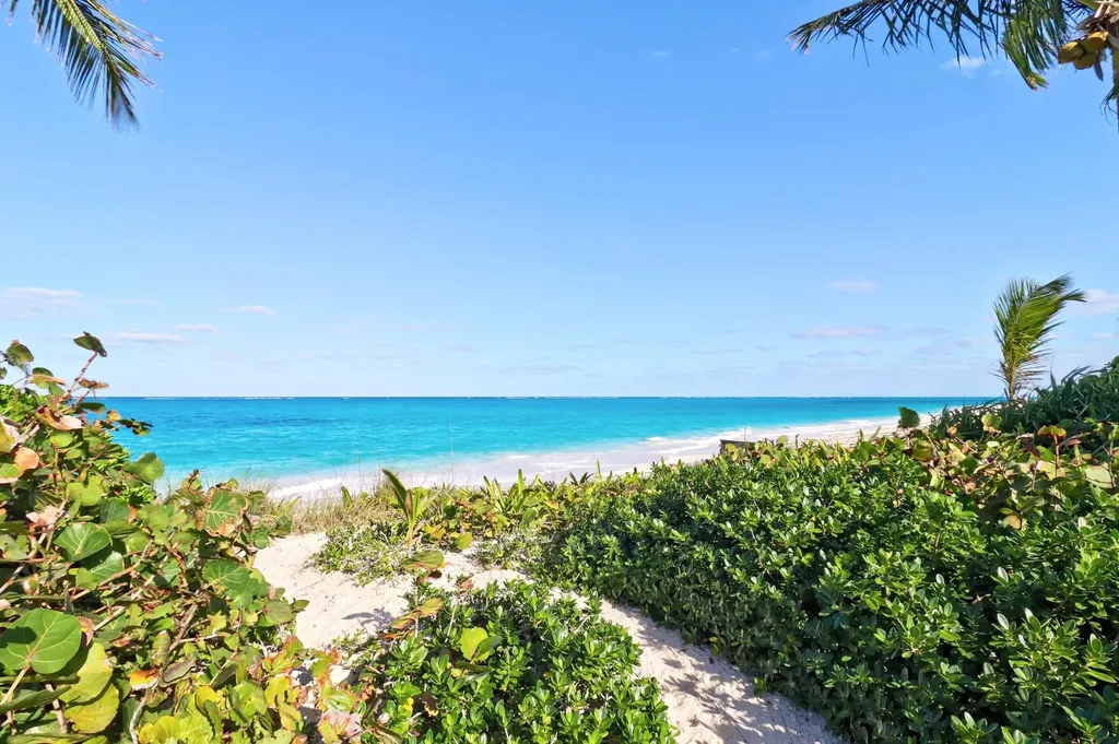 Berry Patch Abaco BS