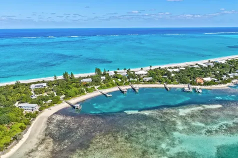 Berry Patch Abaco BS
