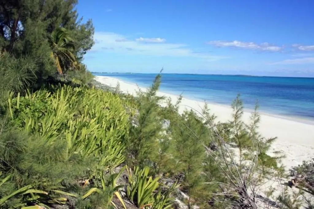 Coopers Town Acreage Abaco BS