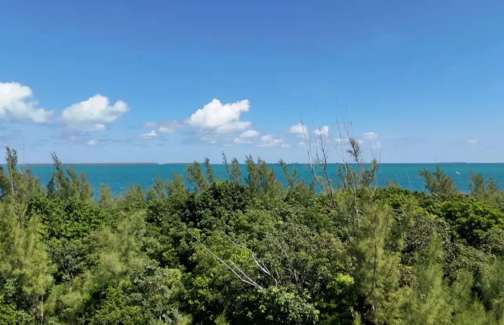 Coopers Town Acreage Abaco BS