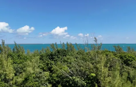 Coopers Town Acreage Abaco BS