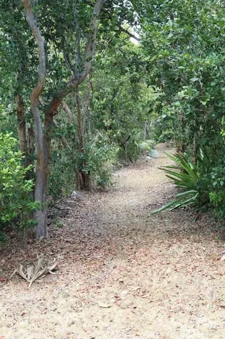 Lyford Hills New Providence Paradise Island BS