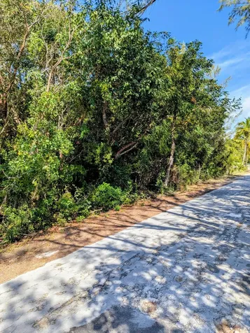 Ocean View Drive 12 Abaco BS