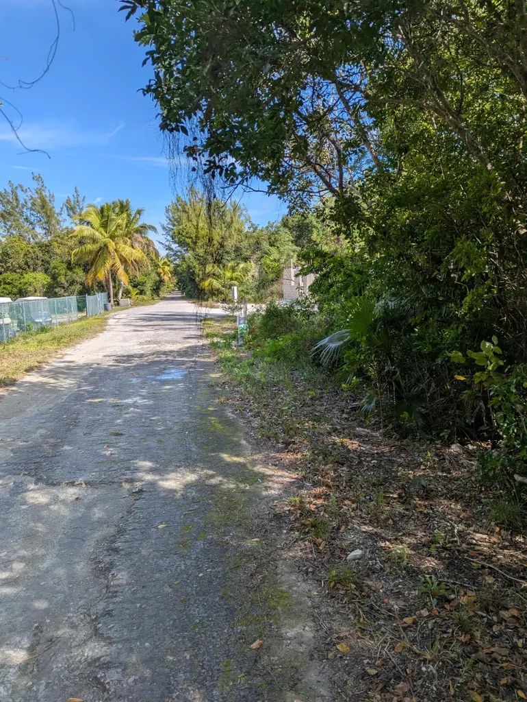 Ponciana Drive Bahama Pal 33 Abaco BS