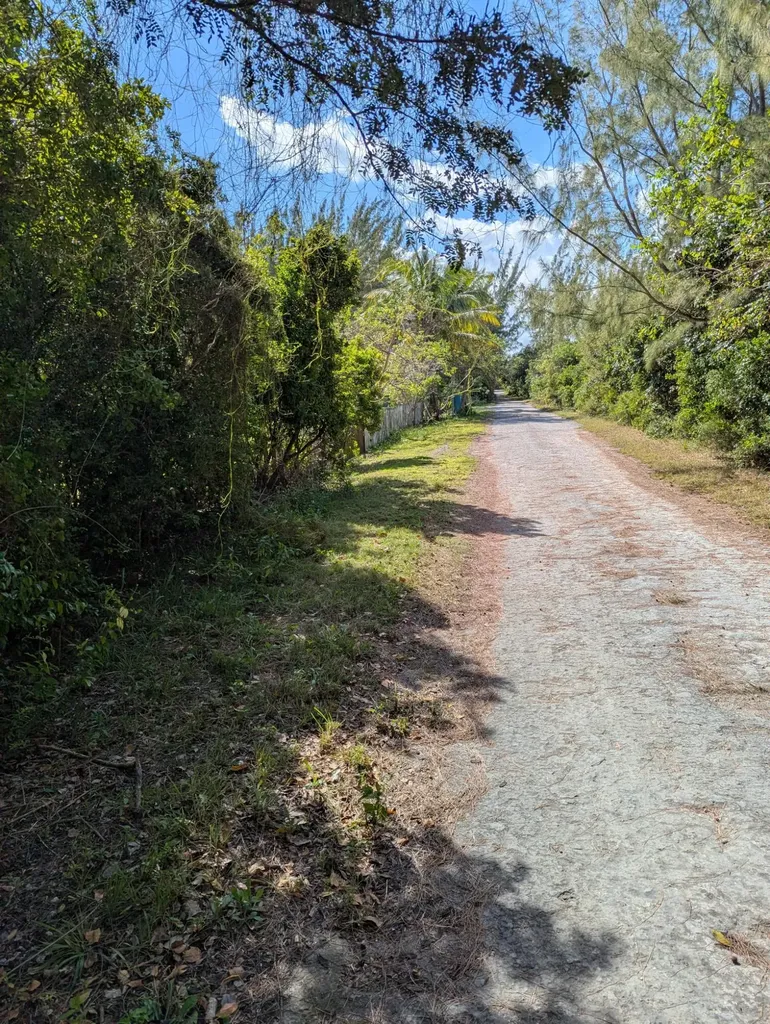 Ponciana Drive Bahama Pal 33 Abaco BS