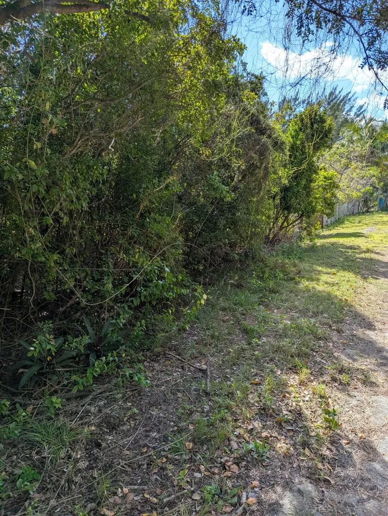 Ponciana Drive Bahama Pal 33 Abaco BS