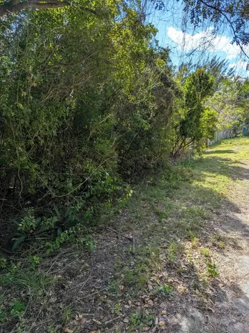 Ponciana Drive Bahama Pal 33 Abaco BS