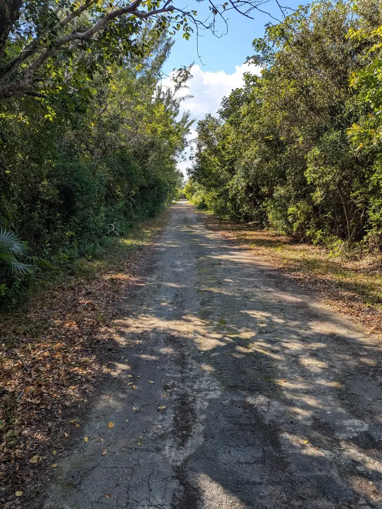 Ponciana Drive Bahama Pal 29 Abaco BS