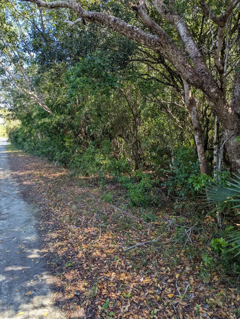 Ponciana Drive Bahama Pal 29 Abaco BS