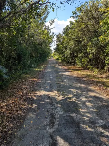 Ponciana Drive Bahama Pal 29 Abaco BS