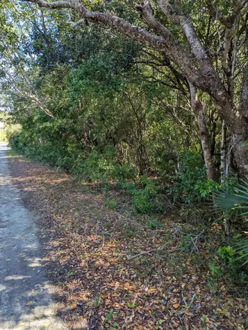 Ponciana Drive Bahama Pal 29 Abaco BS