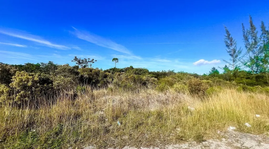 Lot A South Ocean Acreage New Providence Paradise Island BS