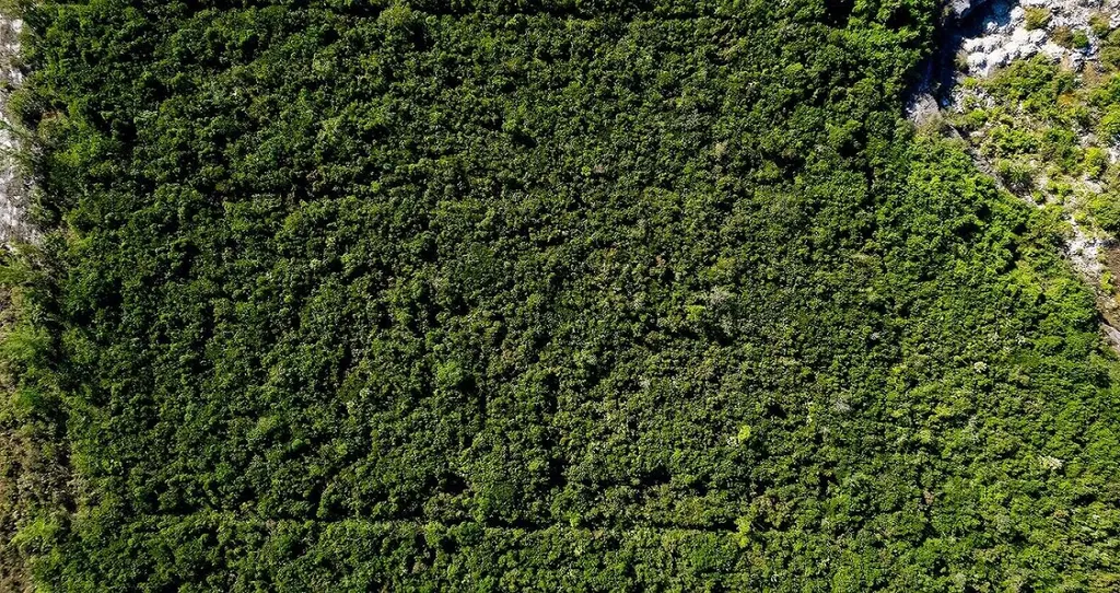 Lot A South Ocean Acreage New Providence Paradise Island BS