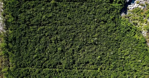 Lot A South Ocean Acreage New Providence Paradise Island BS