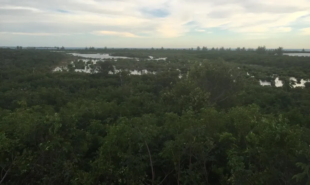 Jwycesska Island Abaco BS