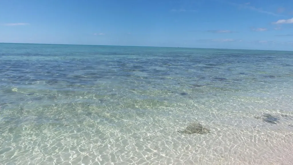 Jwycesska Island Abaco BS