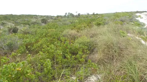 Jwycesska Island Abaco BS