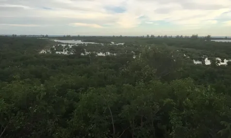 Jwycesska Island Abaco BS