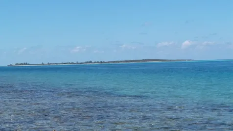 Jwycesska Island Abaco BS