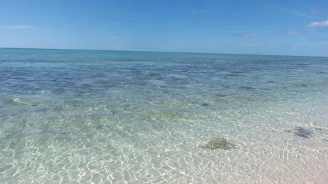 Jwycesska Island Abaco BS