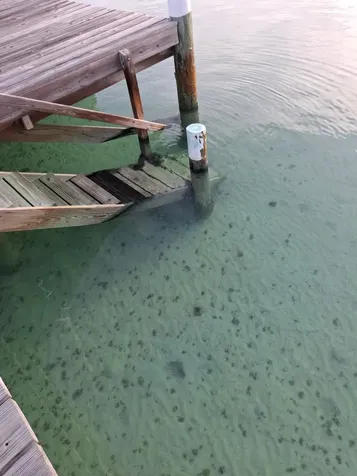 Pelican Shores Lot 1 Abaco BS