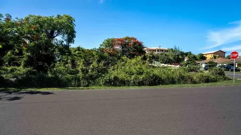 Tropical Gardens Road Lot 15 New Providence Paradise Island BS