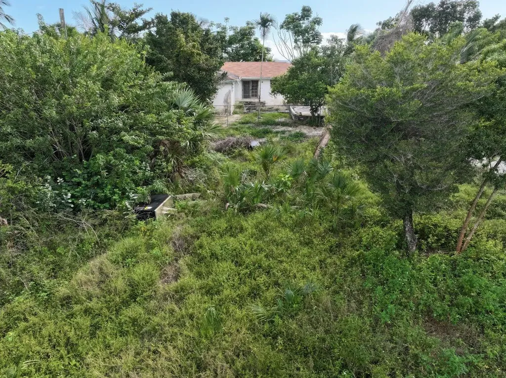 Adelaide Beach Drive 55 New Providence Paradise Island BS