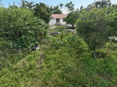 Adelaide Beach Drive 55 New Providence Paradise Island BS