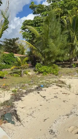 Adelaide Beach Drive 55 New Providence Paradise Island BS