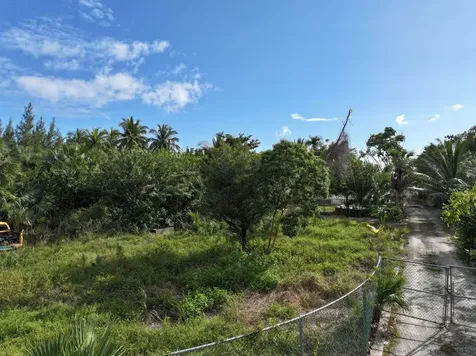 Adelaide Beach Drive 55 New Providence Paradise Island BS