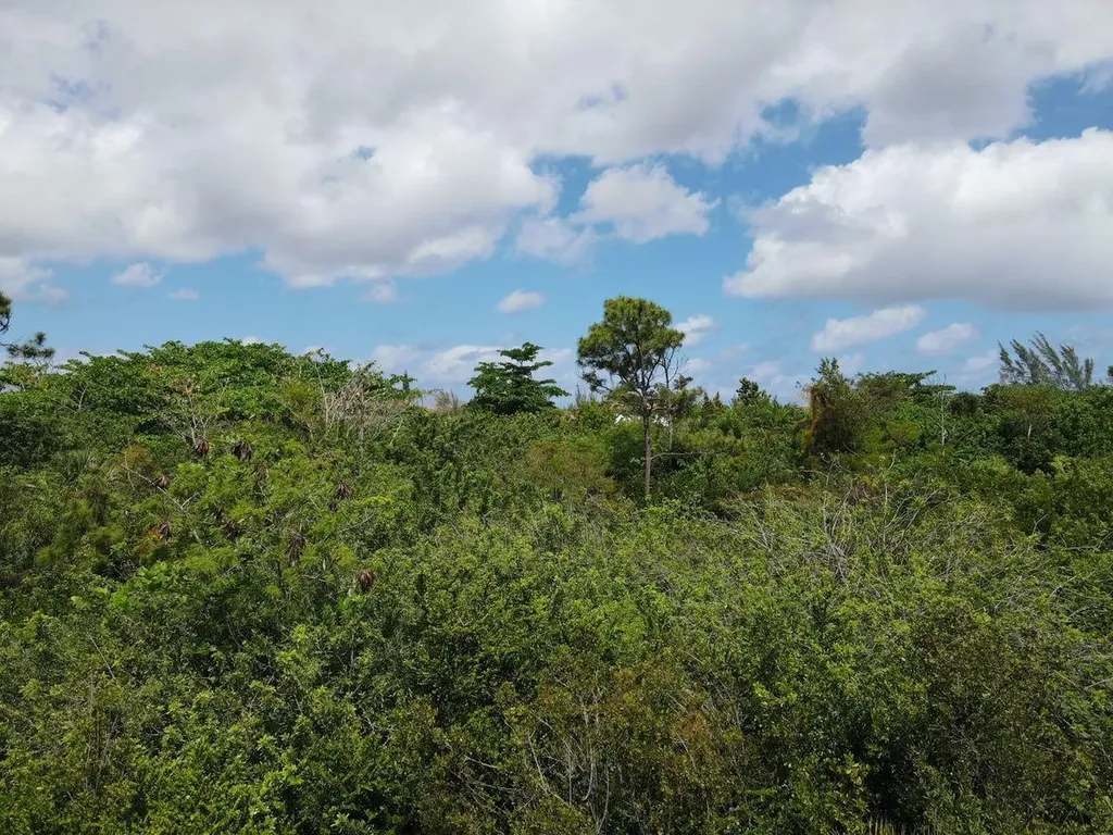 Cowpen Road, New Provide Lot 8 New Providence Paradise Island BS