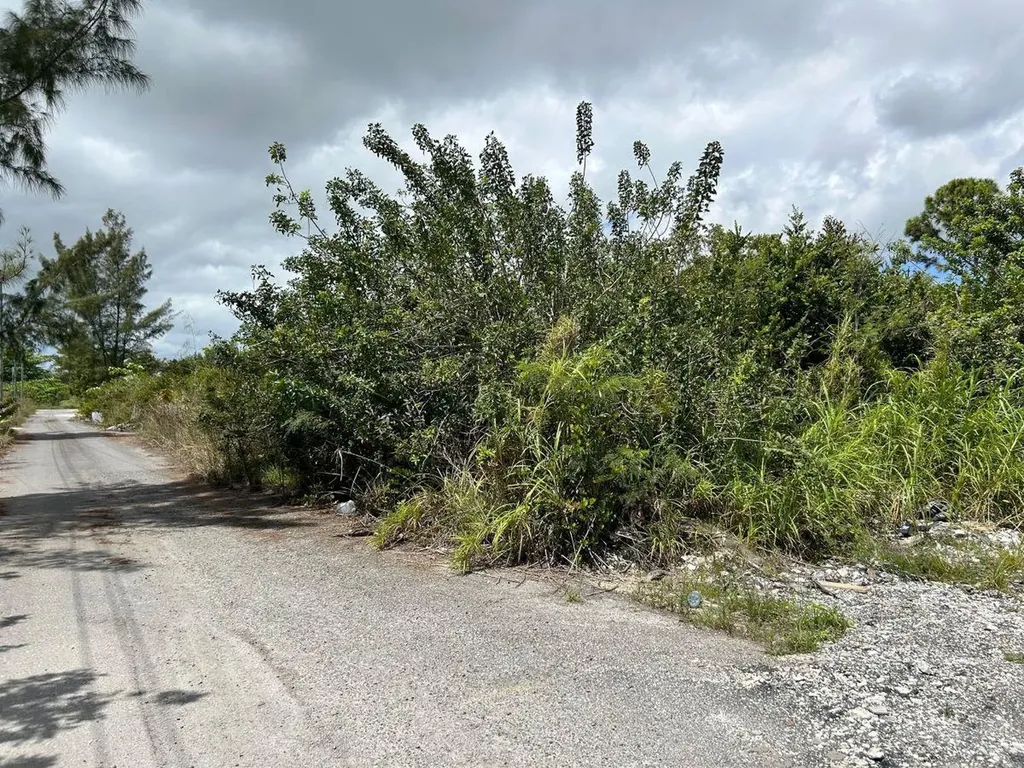 Cowpen Road, New Provide Lot 8 New Providence Paradise Island BS