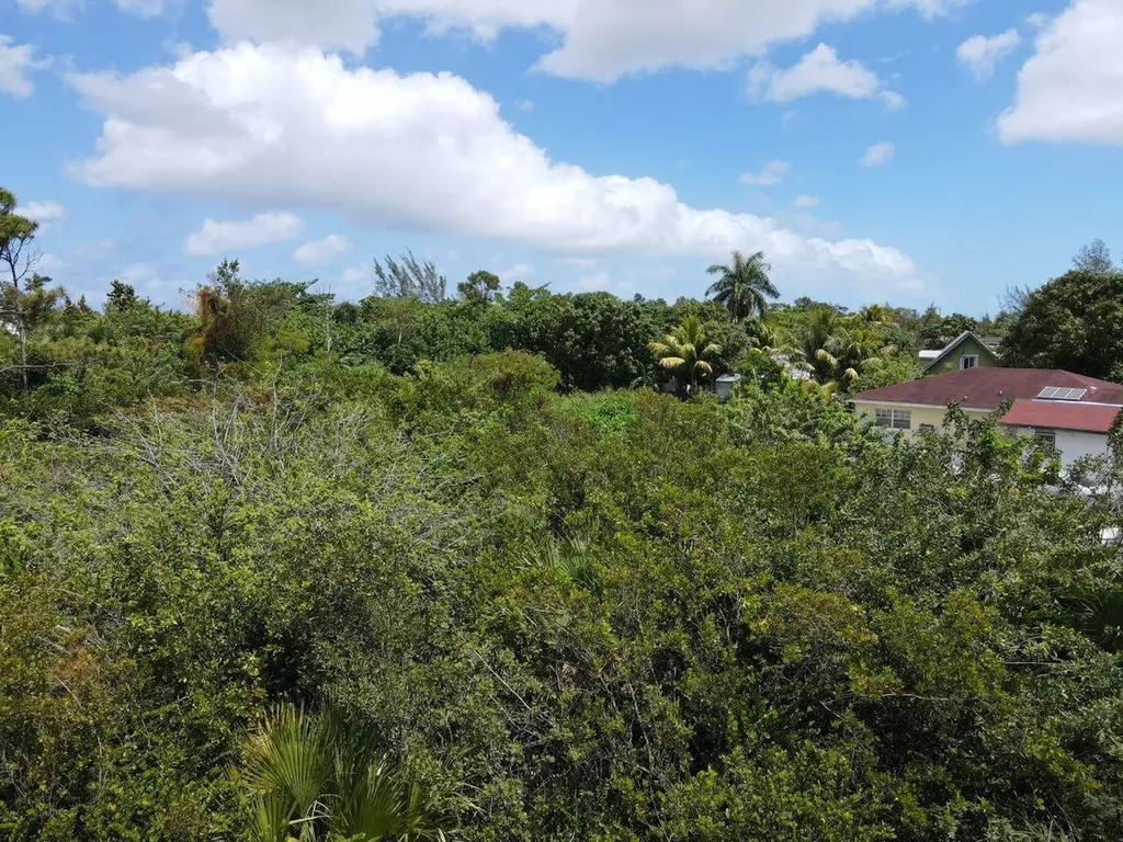 Cowpen Road, New Provide Lot 8 New Providence Paradise Island BS