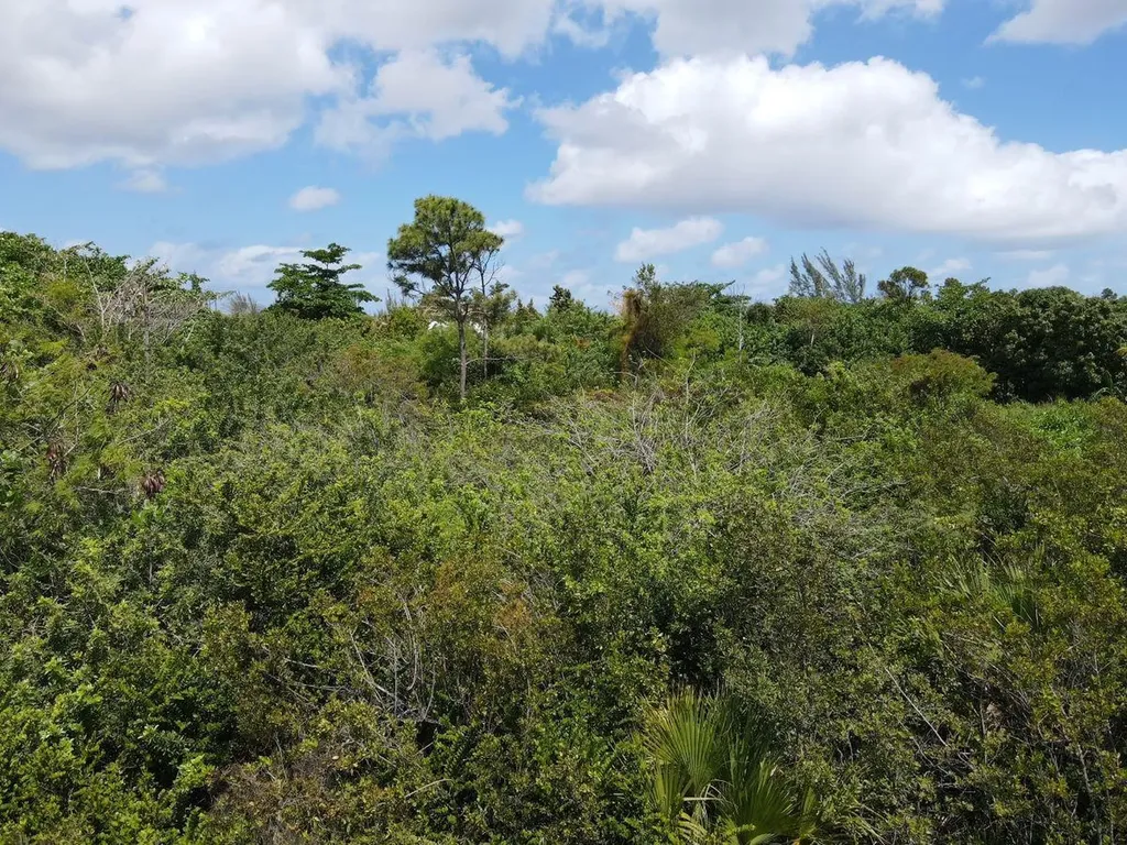 Cowpen Road, New Provide Lot 8 New Providence Paradise Island BS