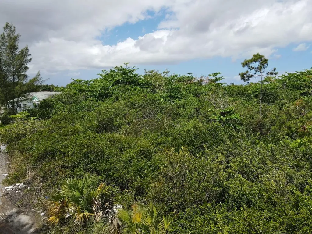Cowpen Road, New Provide Lot 8 New Providence Paradise Island BS