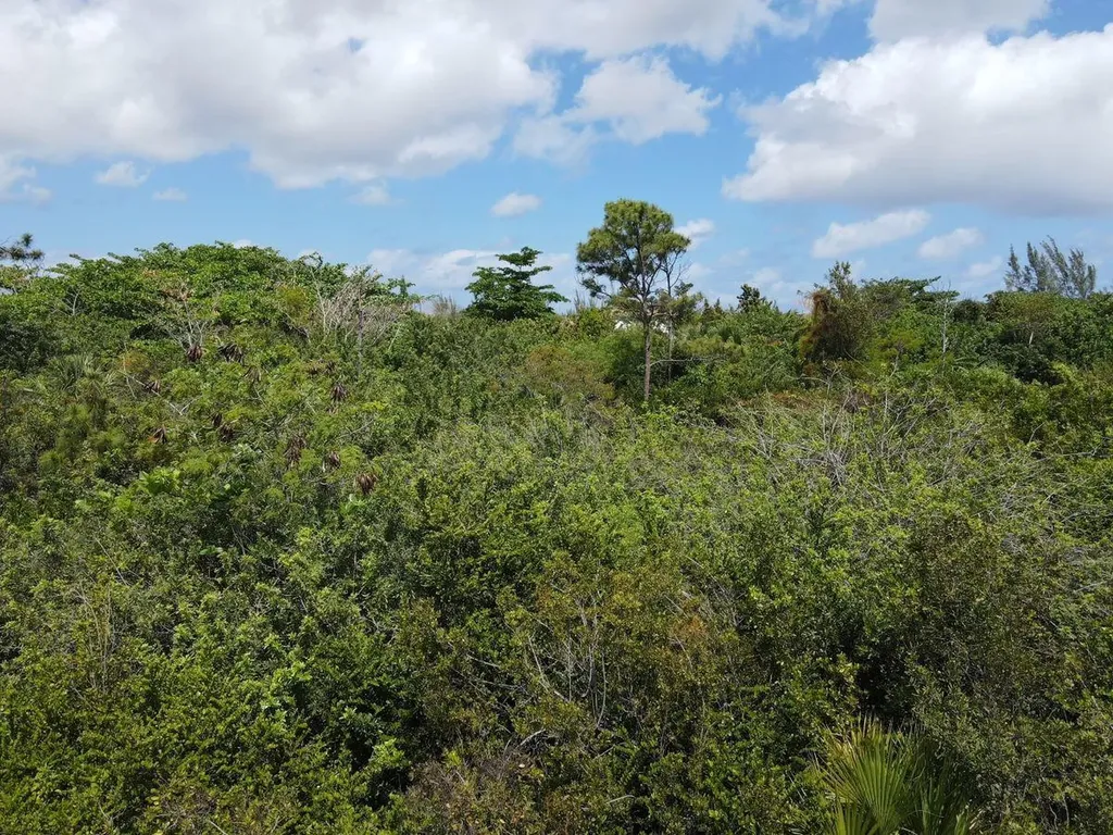Cowpen Road, New Provide Lot 8 New Providence Paradise Island BS