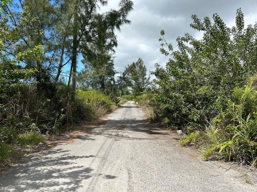 Cowpen Road, New Provide Lot 8 New Providence Paradise Island BS