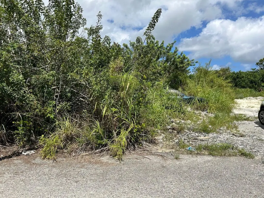 Cowpen Road, New Provide Lot 8 New Providence Paradise Island BS