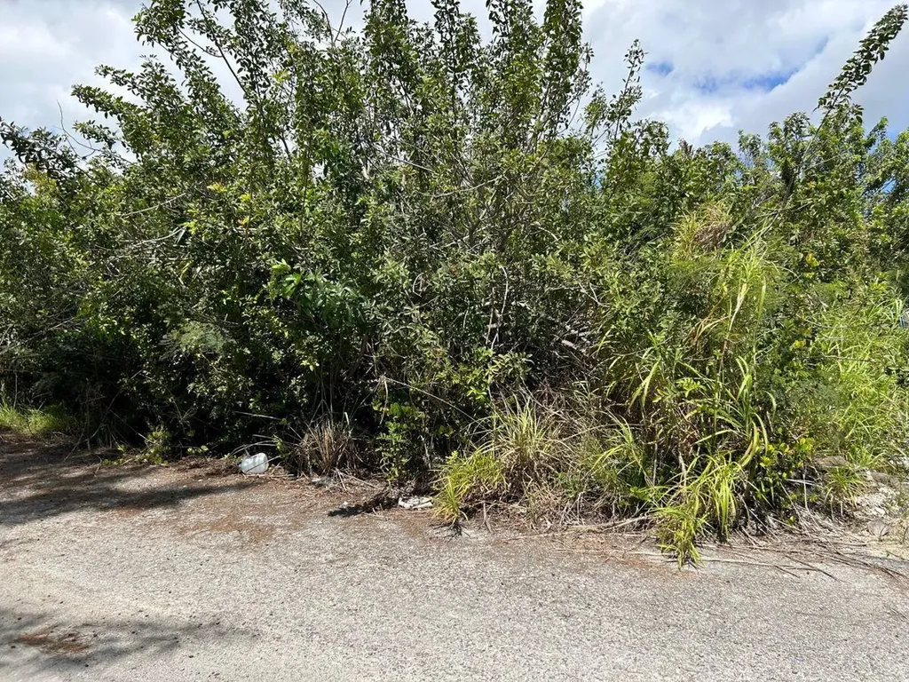 Cowpen Road, New Provide Lot 8 New Providence Paradise Island BS