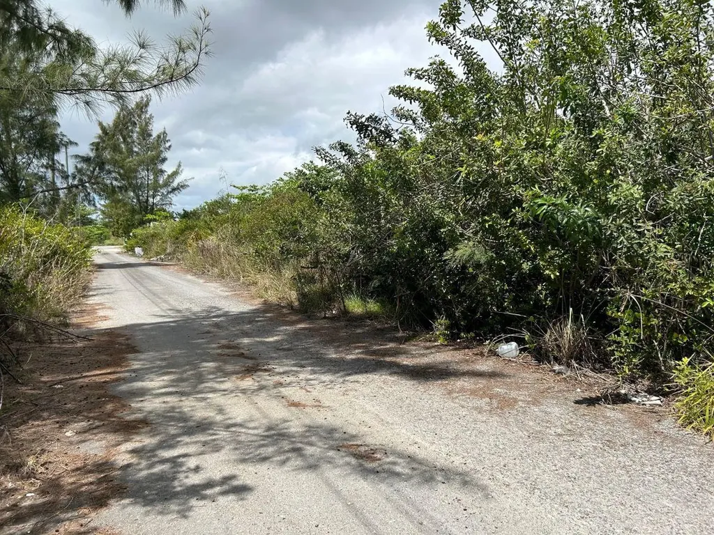 Cowpen Road, New Provide Lot 8 New Providence Paradise Island BS