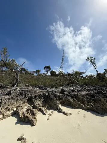 The Sanctuary Lot 4a Abaco BS