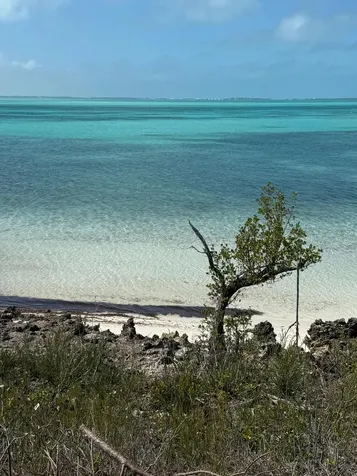 The Sanctuary Lot 4a Abaco BS