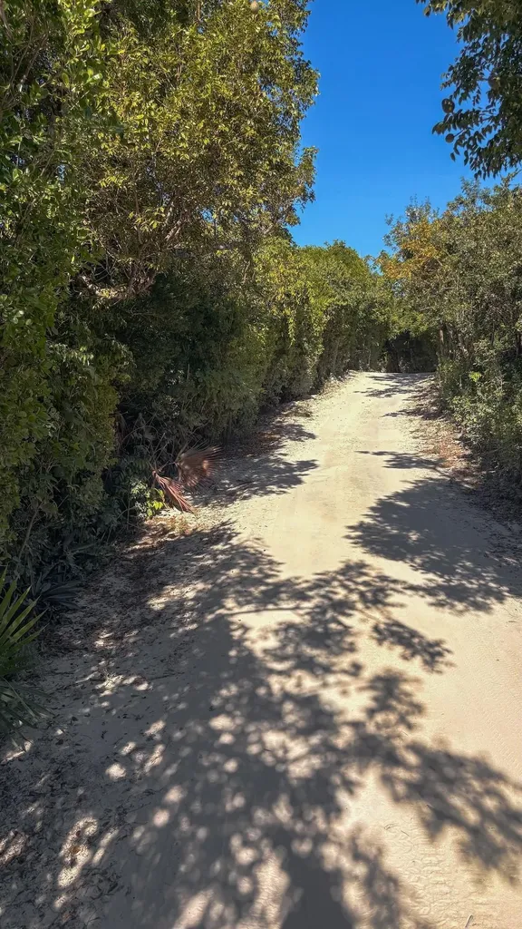 Man O War Cay Abaco BS