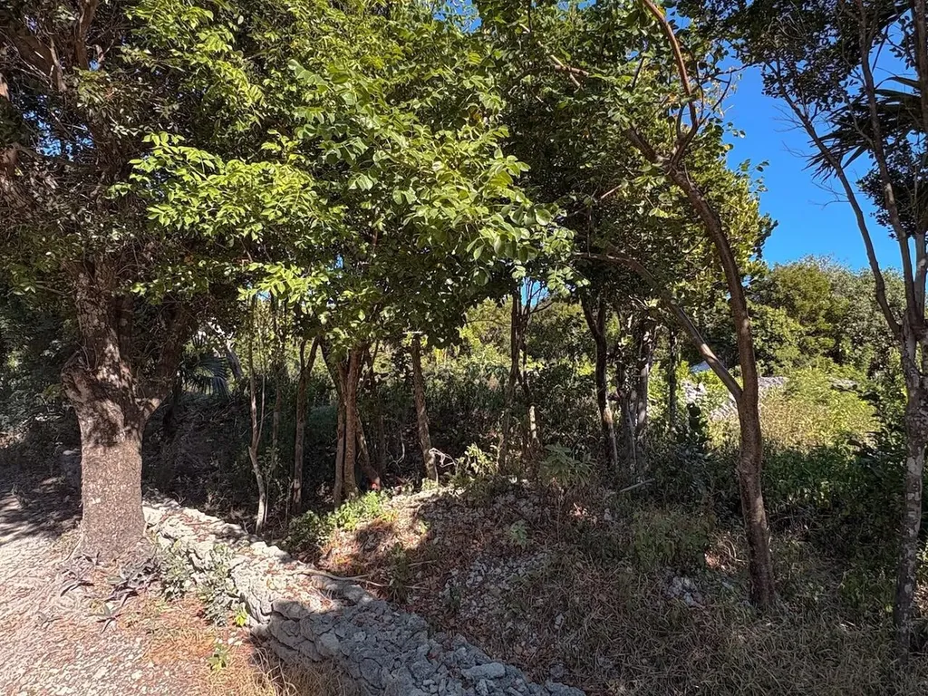 Man O War Cay Abaco BS