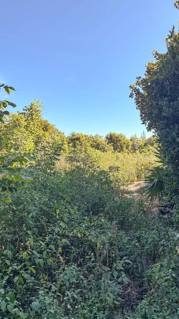 Man O War Cay Abaco BS