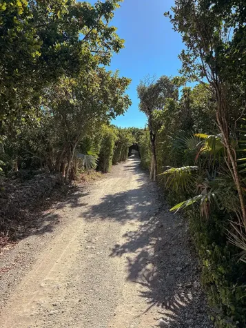 Man O War Cay Abaco BS