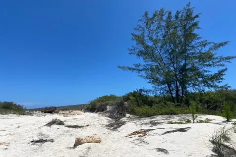 The Cliffs Eleuthera BS