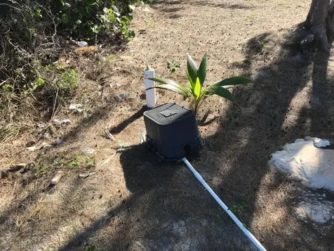 Ocean View Lot 12 Rainbow Eleuthera BS