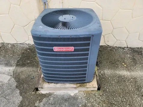 Pine Forest, West Grand B Grand Bahama Freeport BS